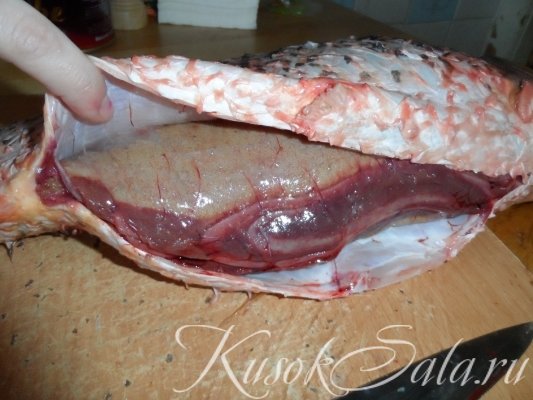 Кстати пузырь тоже можно жарить.... а то! Сазан жареный: как пожарить сазана и как жарить икру. Кстати пузырь тоже можно жарить.... а то!