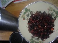 Как заваривать шиповник