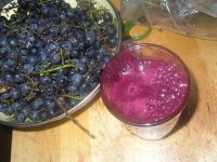 Сок из винограда на соковыжималке